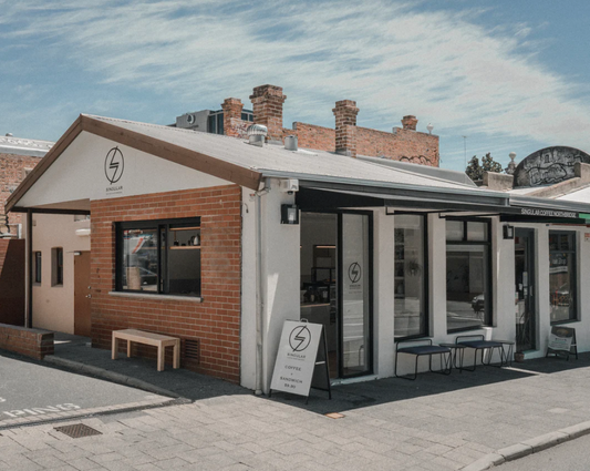 From Coffee Shop to Roastery: The Journey of Singluar Roasters