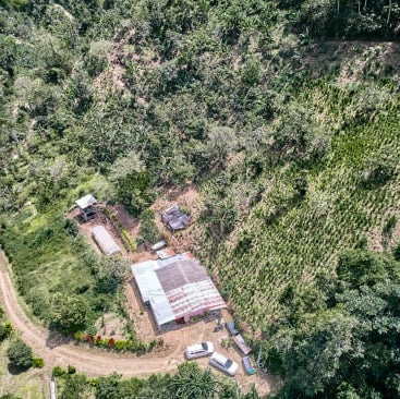 Aerial view of a coffee farm with buildings and vehicles surrounded by dense greenery.