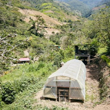 Small greenhouse in a lush green valley with mountains in the background