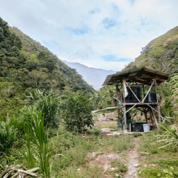 Wooden structure in a lush green forest with mountains in the background