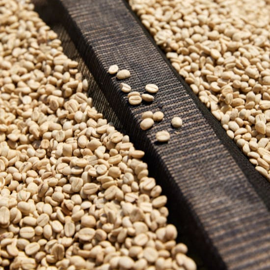 Kirorero Washing Station