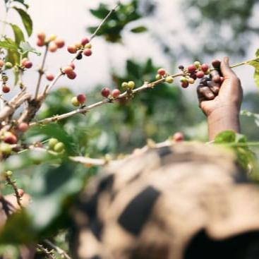 Abadatezuka Co-operative