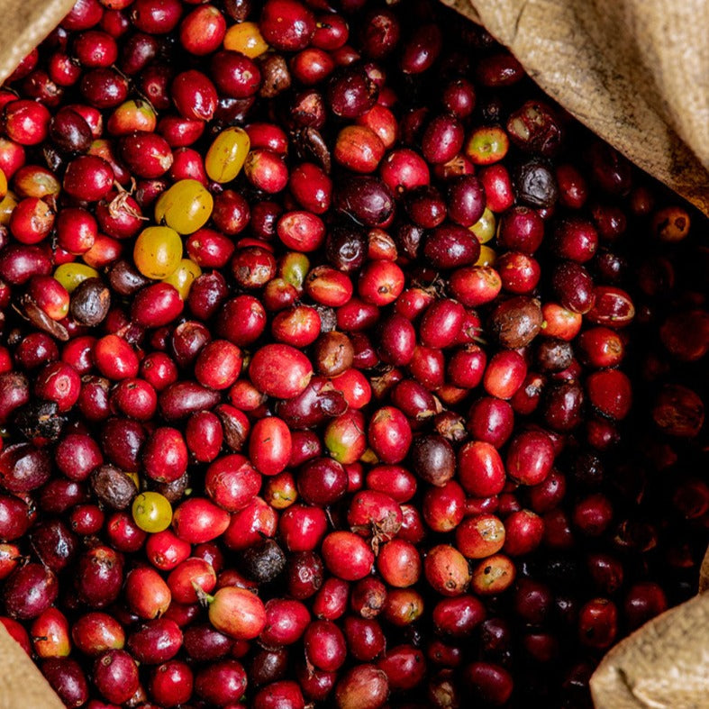 Jose Quintero & Nubia Diaz