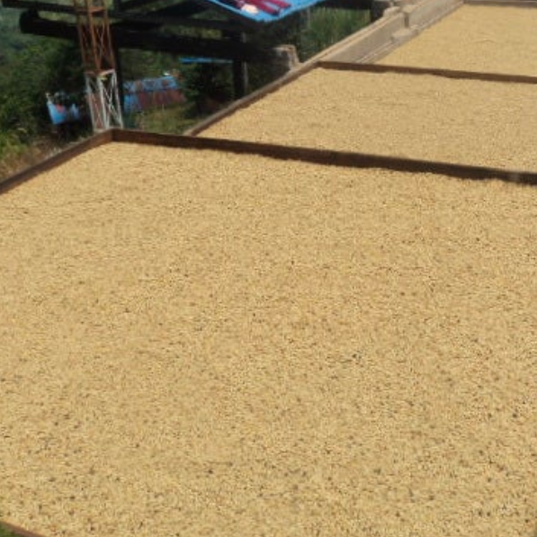 Edgar Heladio Castillo