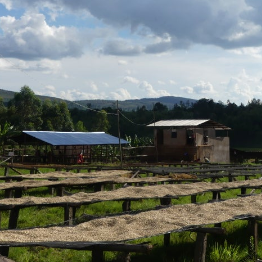 Mubuga Washing Station