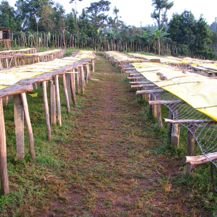 Worka Chelichele Washing Station