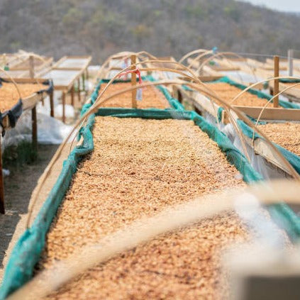 Jose Gabino Fernandez.