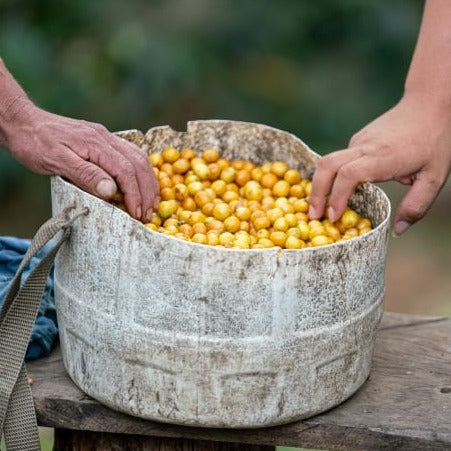 Segundo Ruiz Salvador.