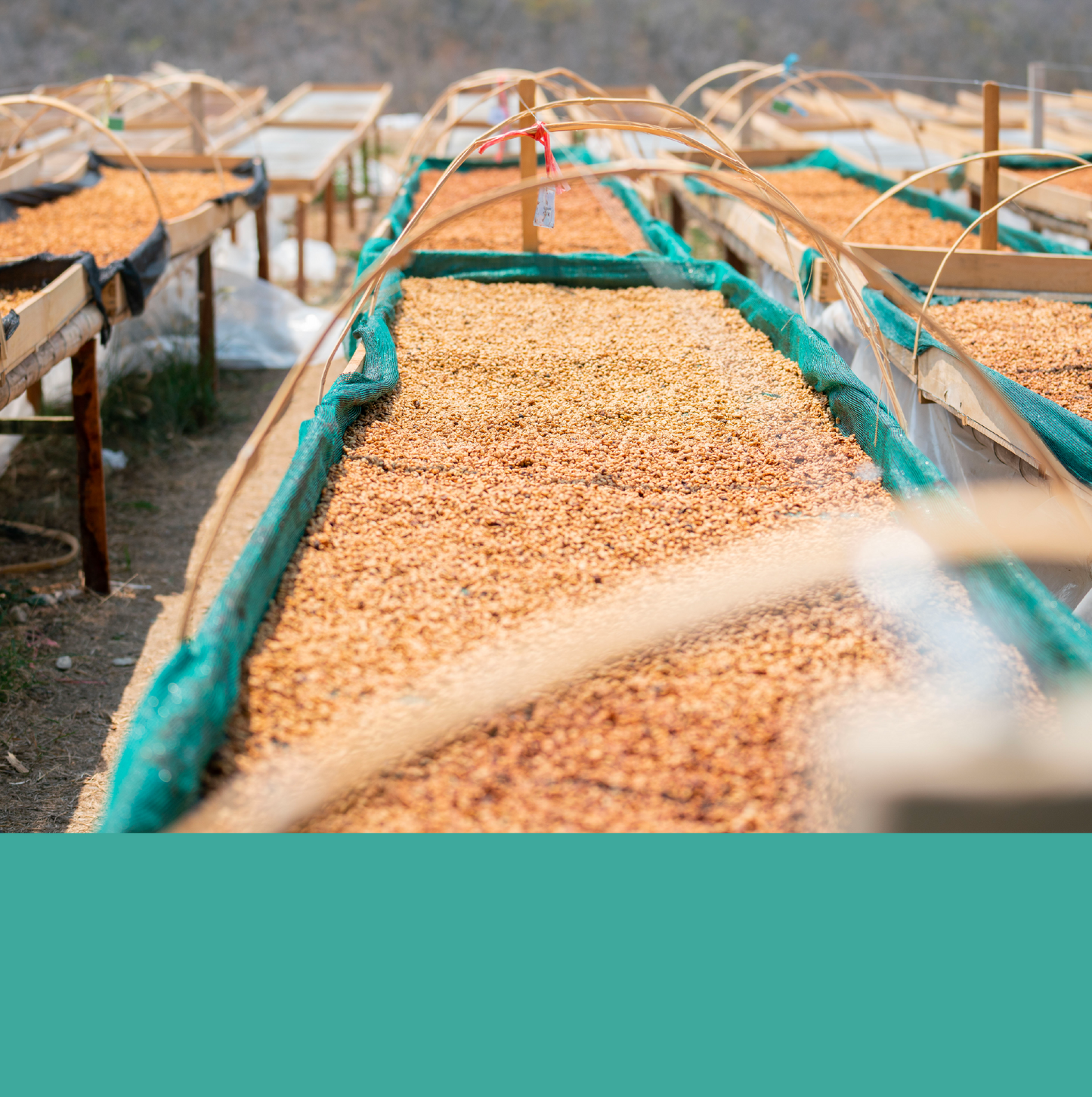 Tomas Fernandez Ramirez.