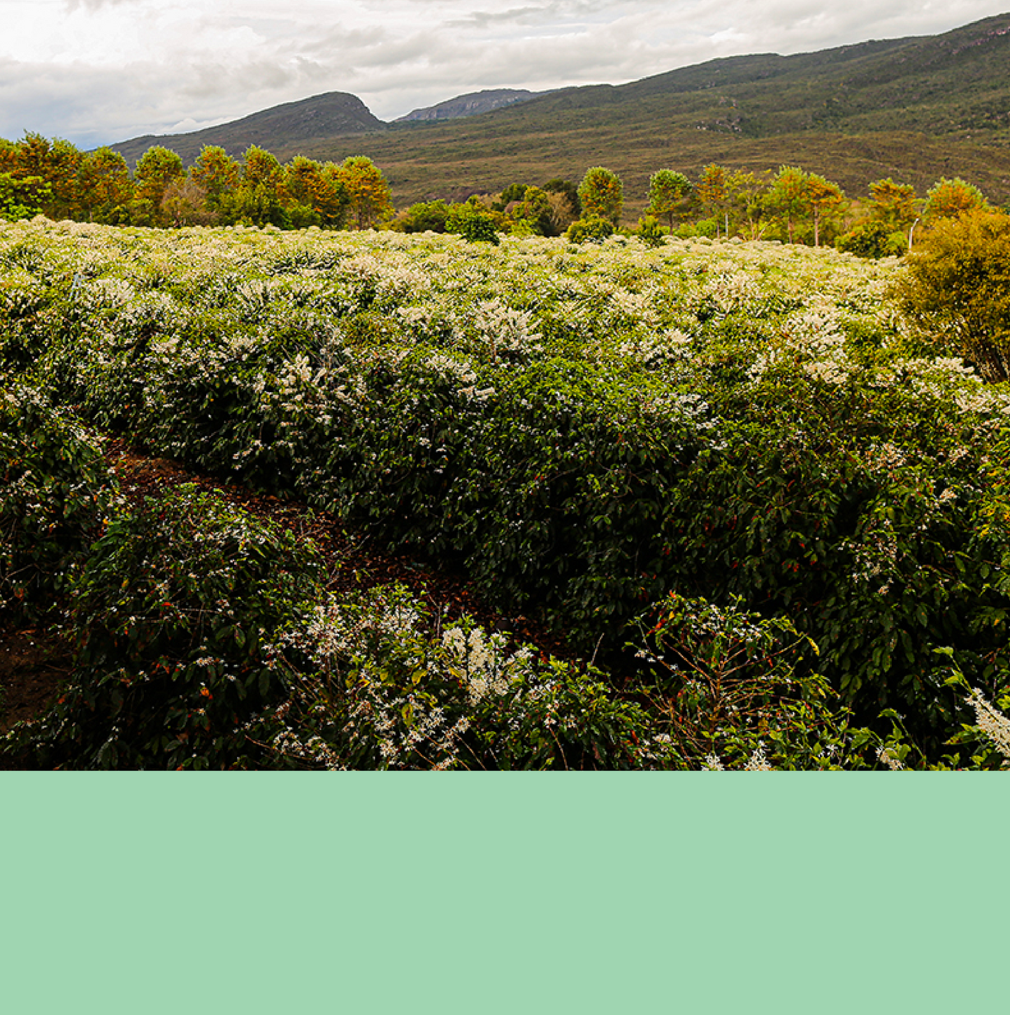 Terezinha + Antônio Rigno.