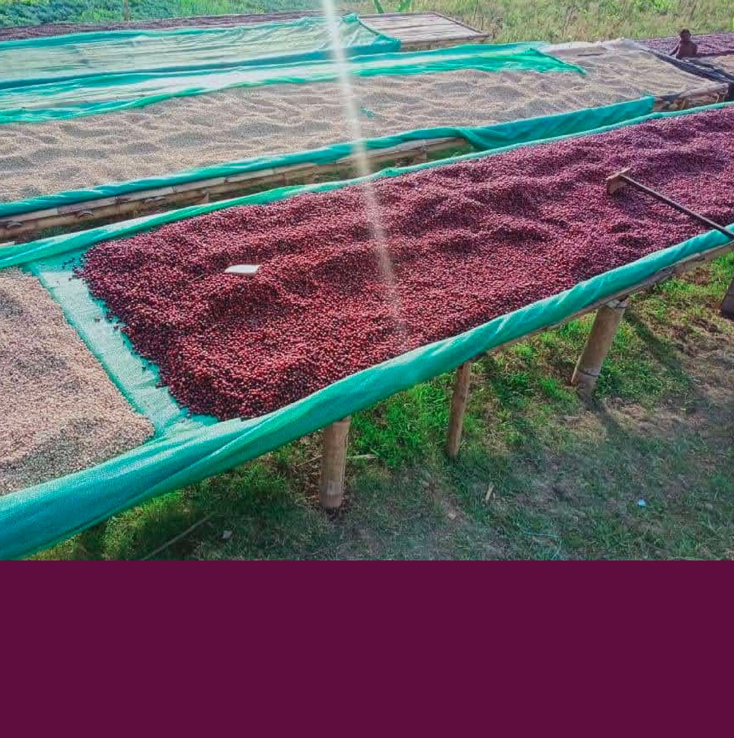 Atsabe Subdistrict (Natural).