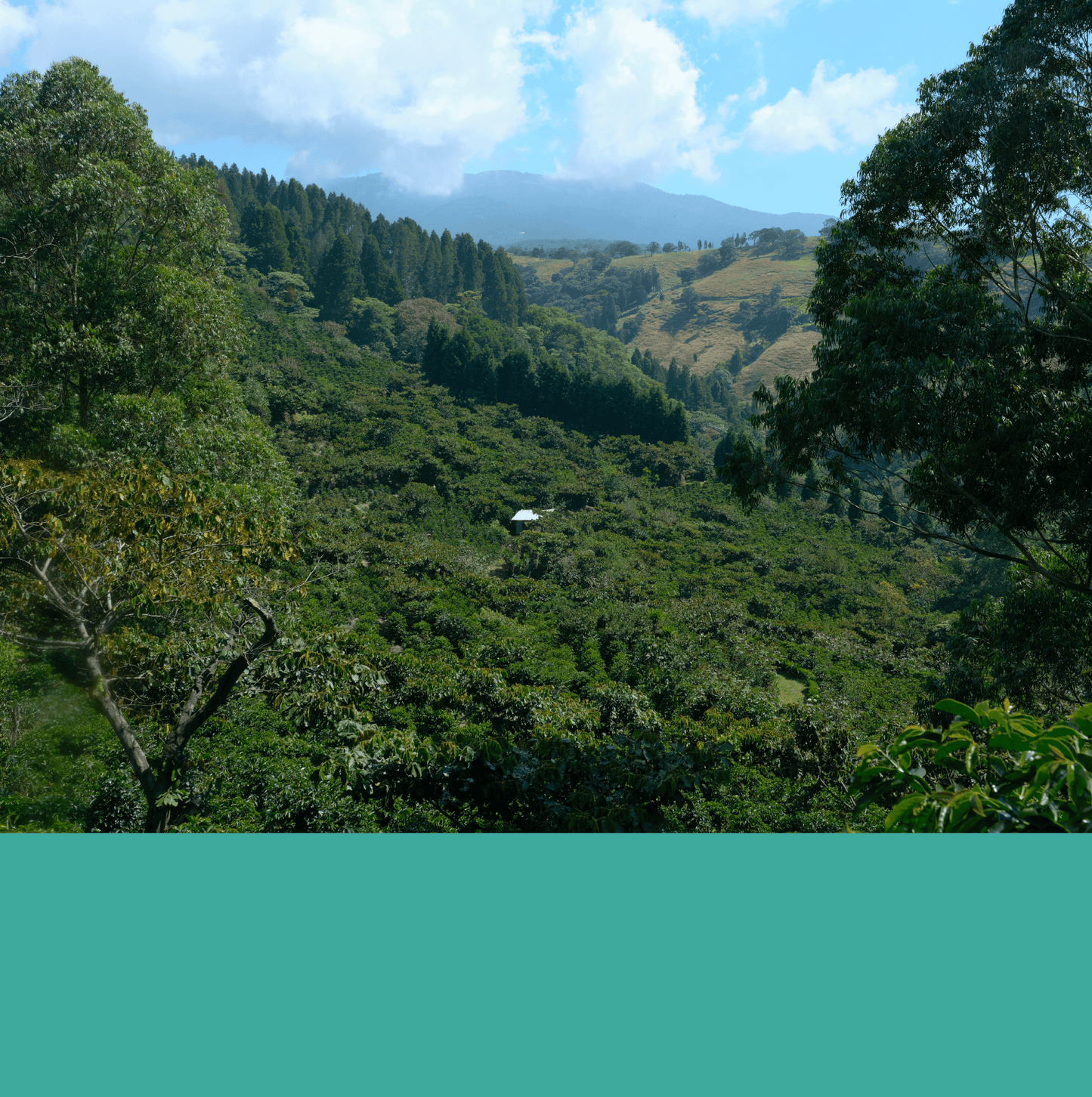 Cerro San Luis Micromill.