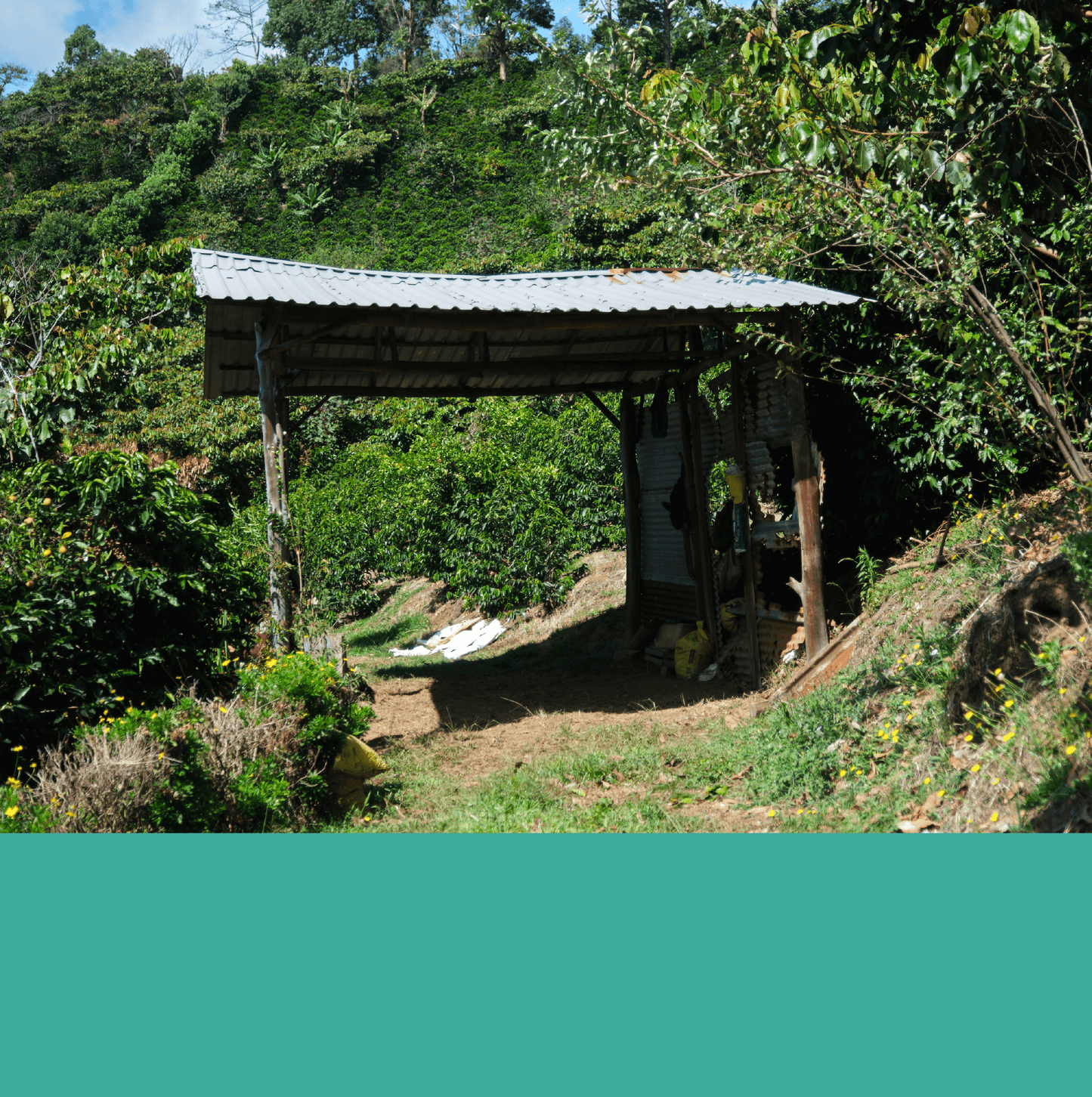 Cerro San Luis Micromill.