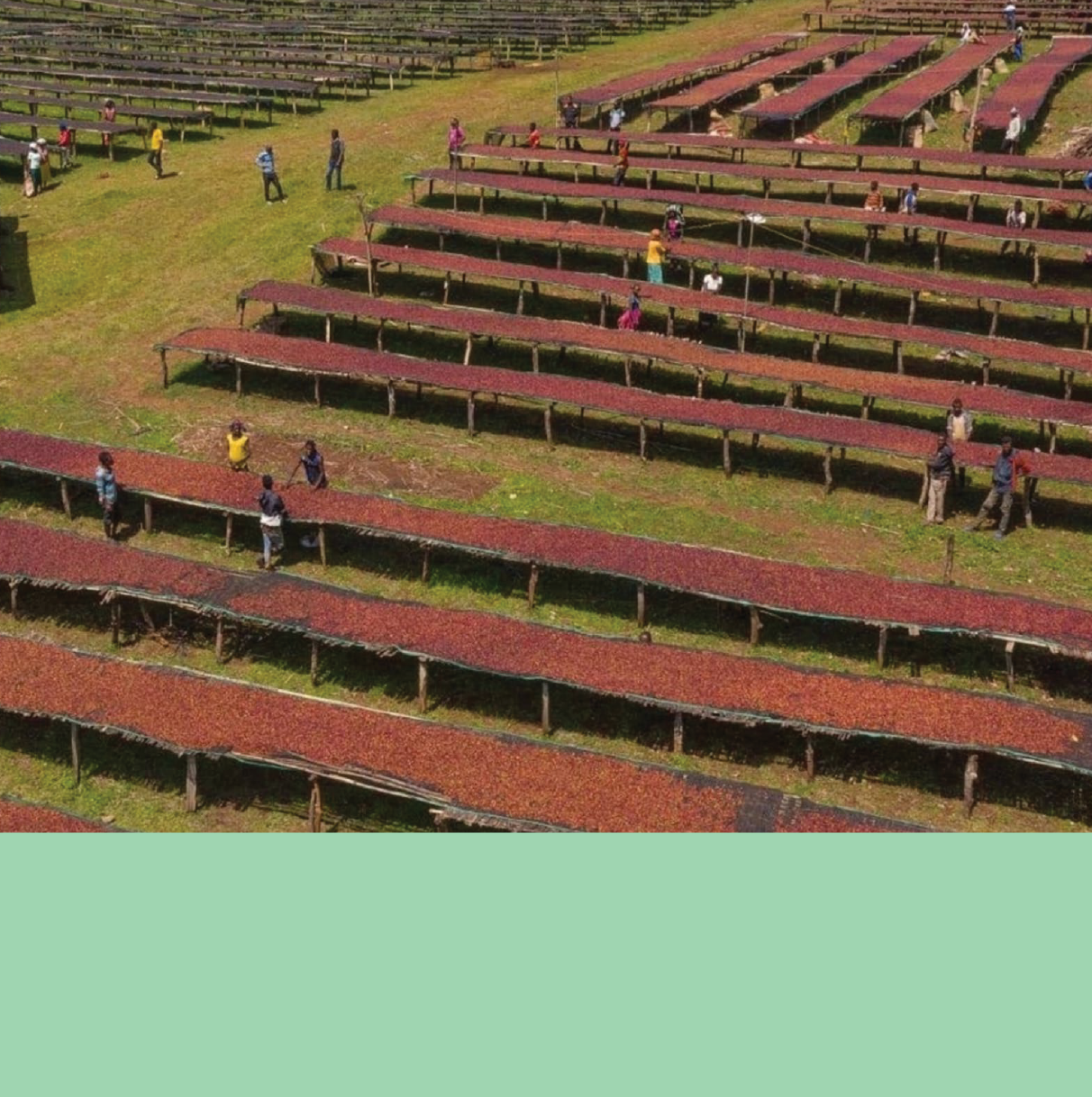 Dikitu Washing Station.