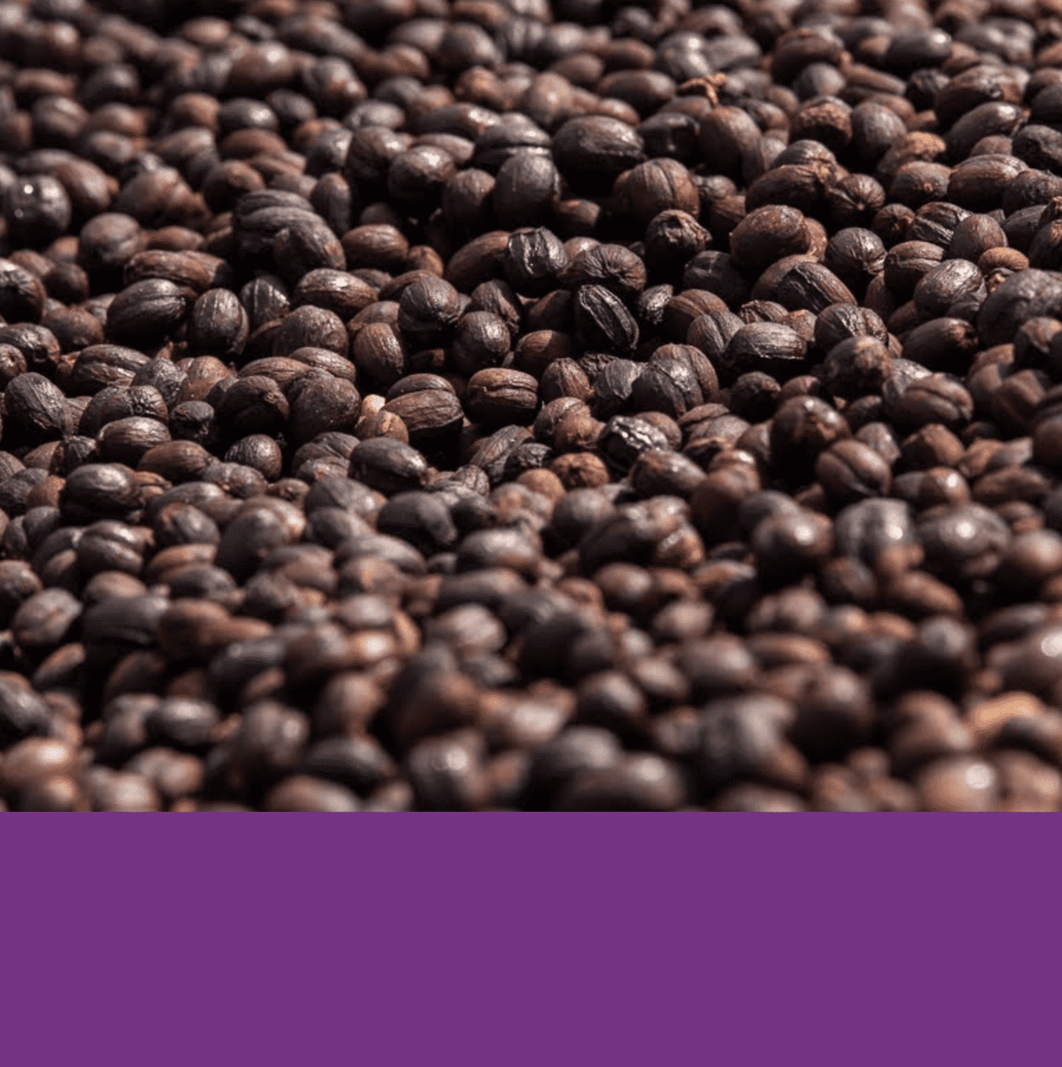 Izuba Washing Station.