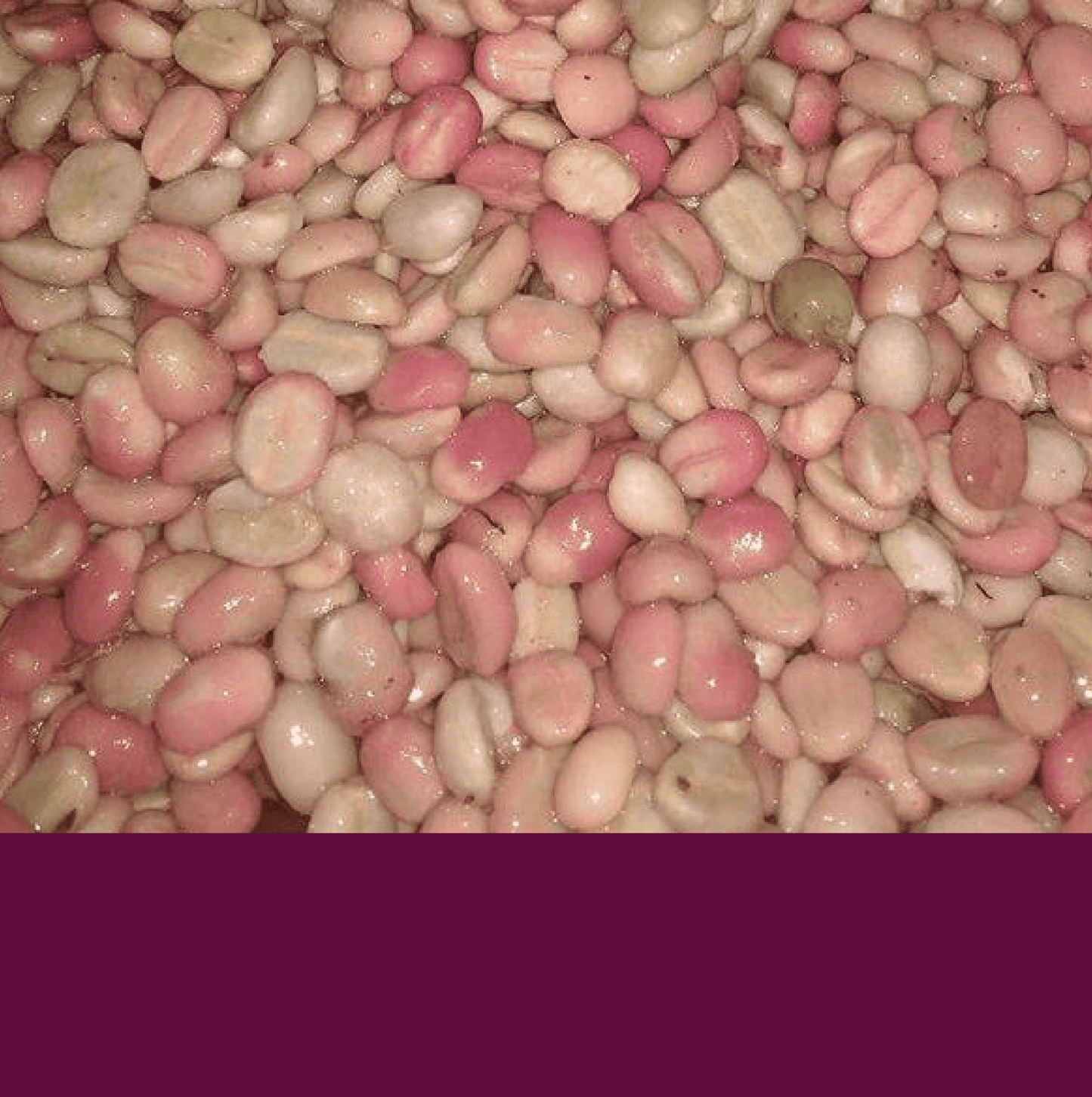 Rafael Amaya 120 Hours.