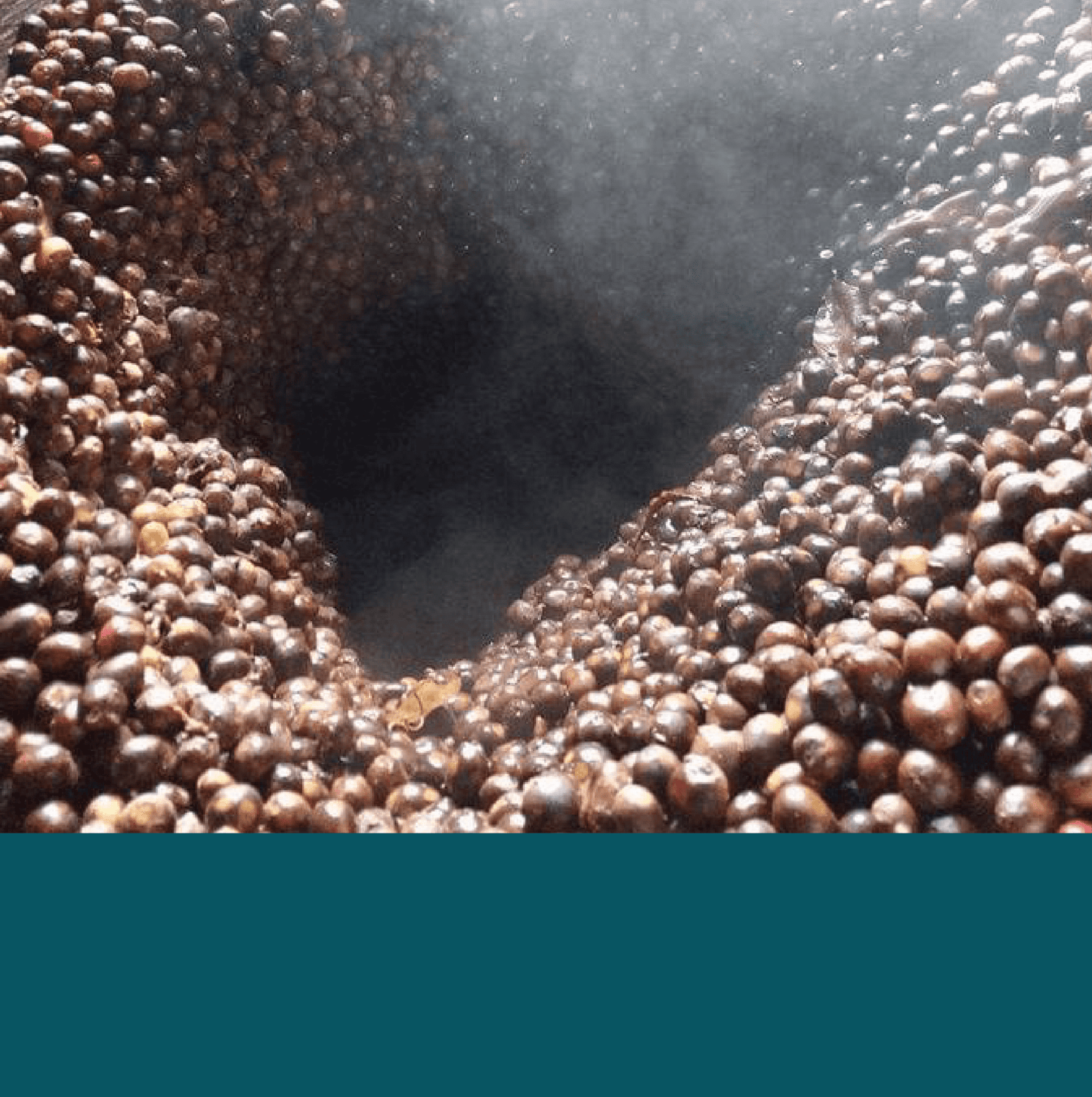 Rafael Amaya 40 Hours.