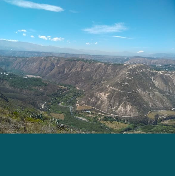 Terrazas del Pisque.