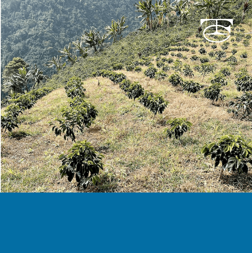 Villamaría Association.