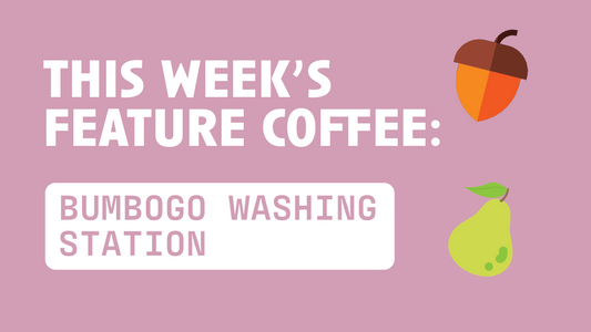 [Video Transcript] The Weekly: Bumbogo Washing Station