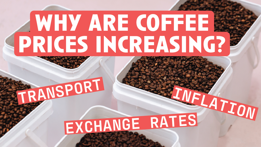 [Video Transcript] Coffee Pricing