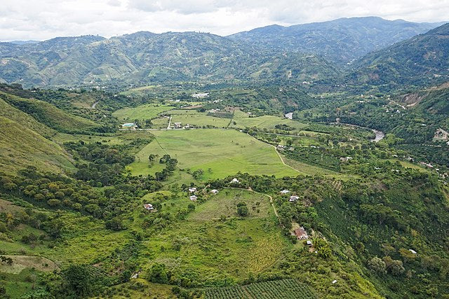 Coffee Under Pressure: How Colombia’s Coffee Producers Are Adapting to Climate Change