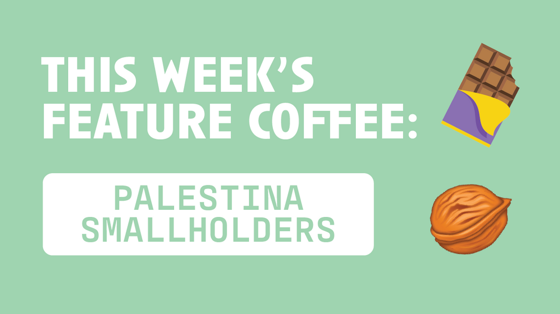 [Video Transcript] The Weekly: Palestina Smallholders