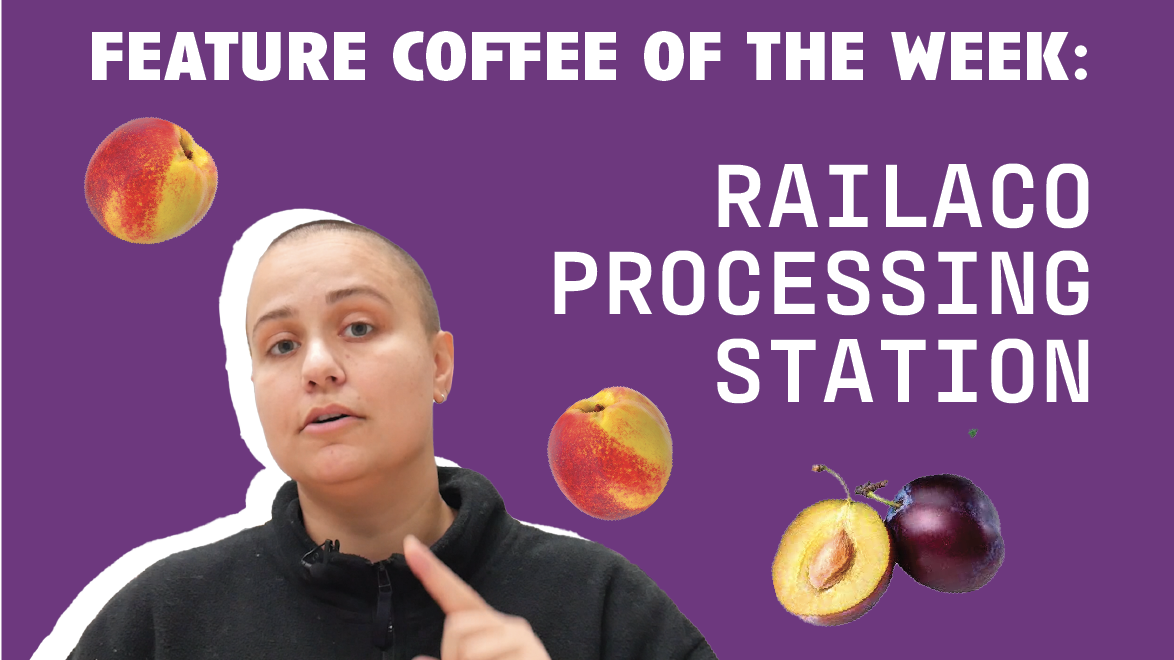 [Video Transcript] Railaco Processing Station