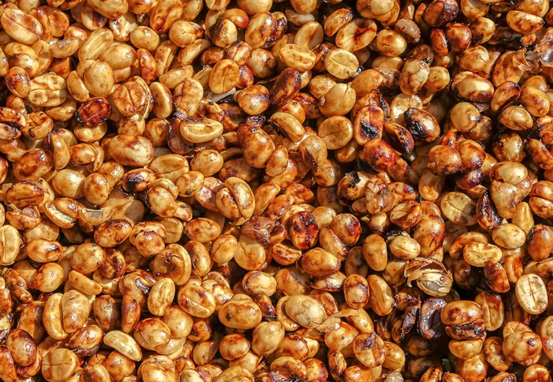 Understanding Coffee Processing: Washed, Natural, and Honey Methods