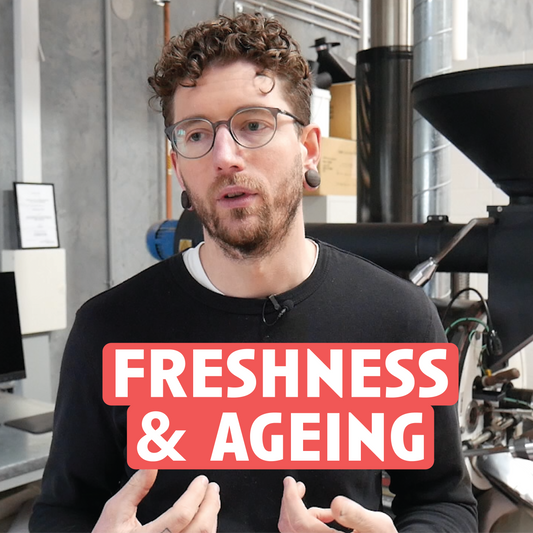 [Video Transcript] Turning Point: Freshness, Ageing, and Planned Obsolescence