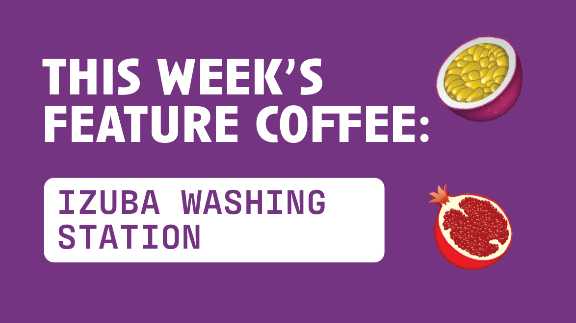 [Video Transcript] The Weekly: Izuba Washing Station