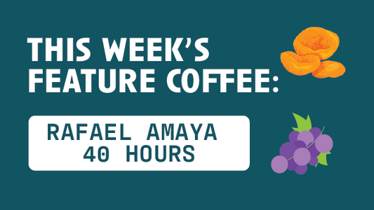 [Video Transcript] The Weekly: Rafael Amaya 40 Hours