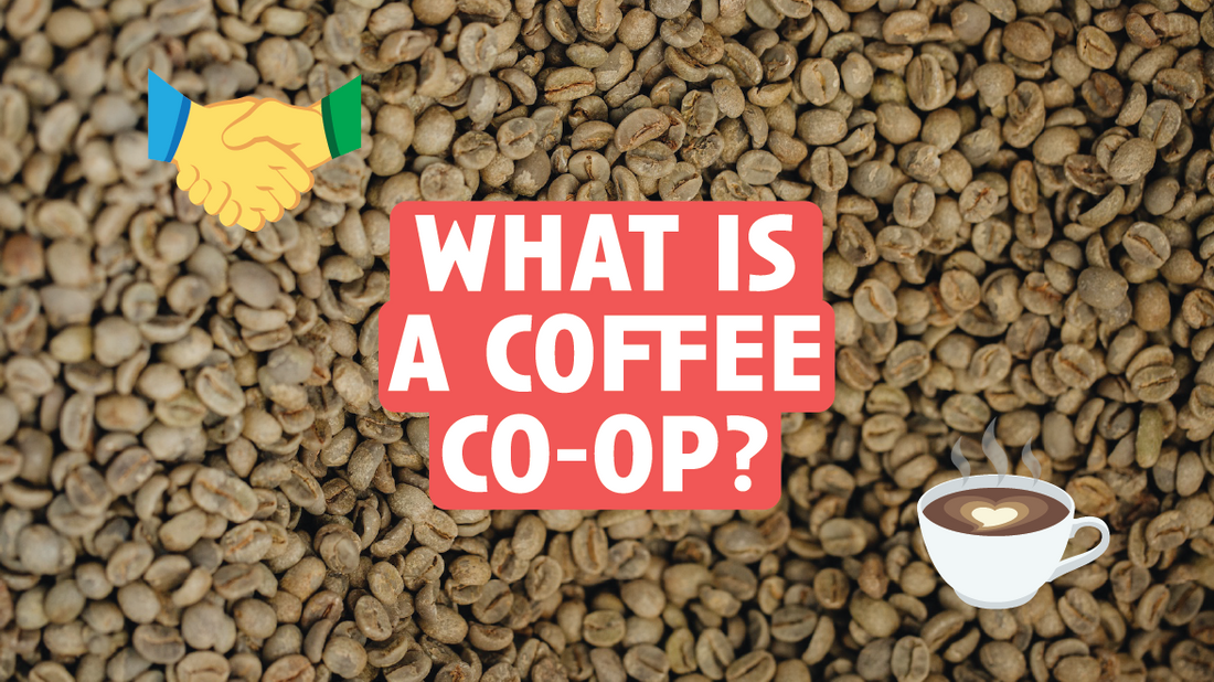 [Video Transcript] What Is a Coffee Co-Op and Why Do They Matter?