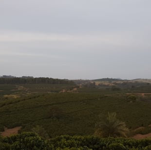 Lindalva de Oliveira Dutra Vivenza