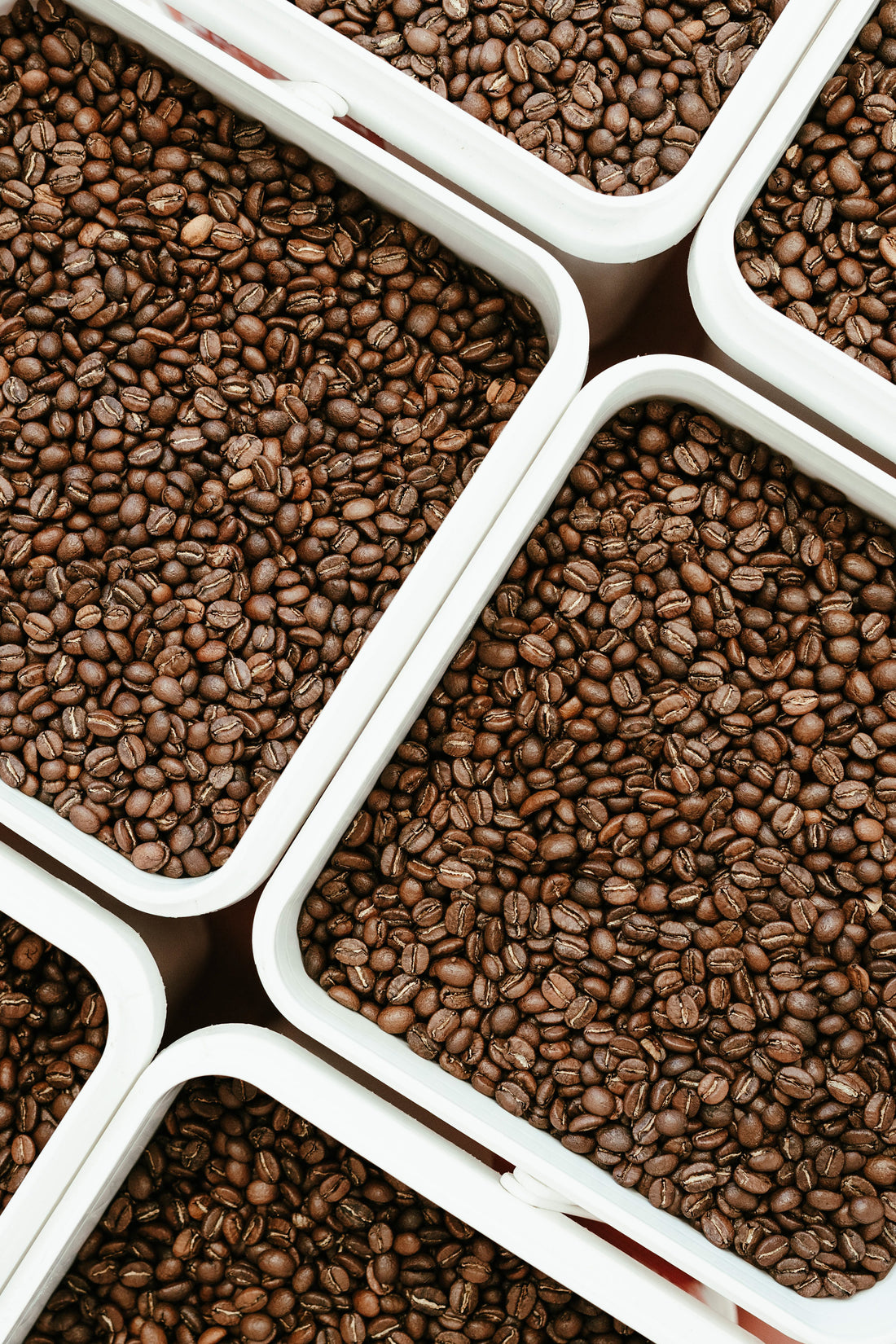 Coffee Roasting Cost Calculator Timely Coffees Timely Coffees