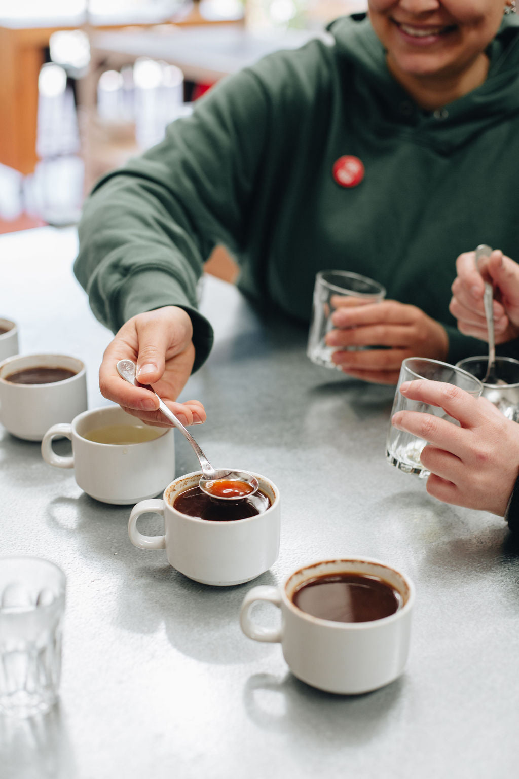 Coffee Roasting Course